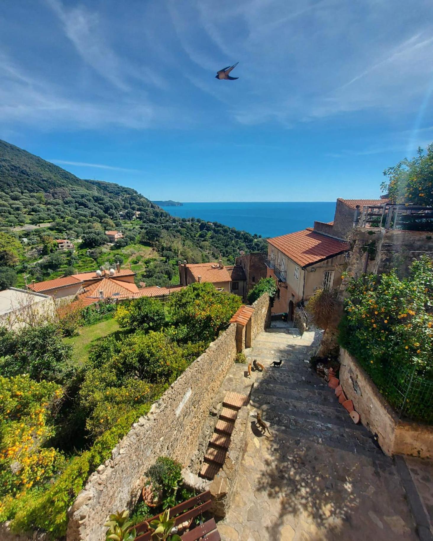 La Casa Sul Blu Albergo Diffuso Пишотта Экстерьер фото